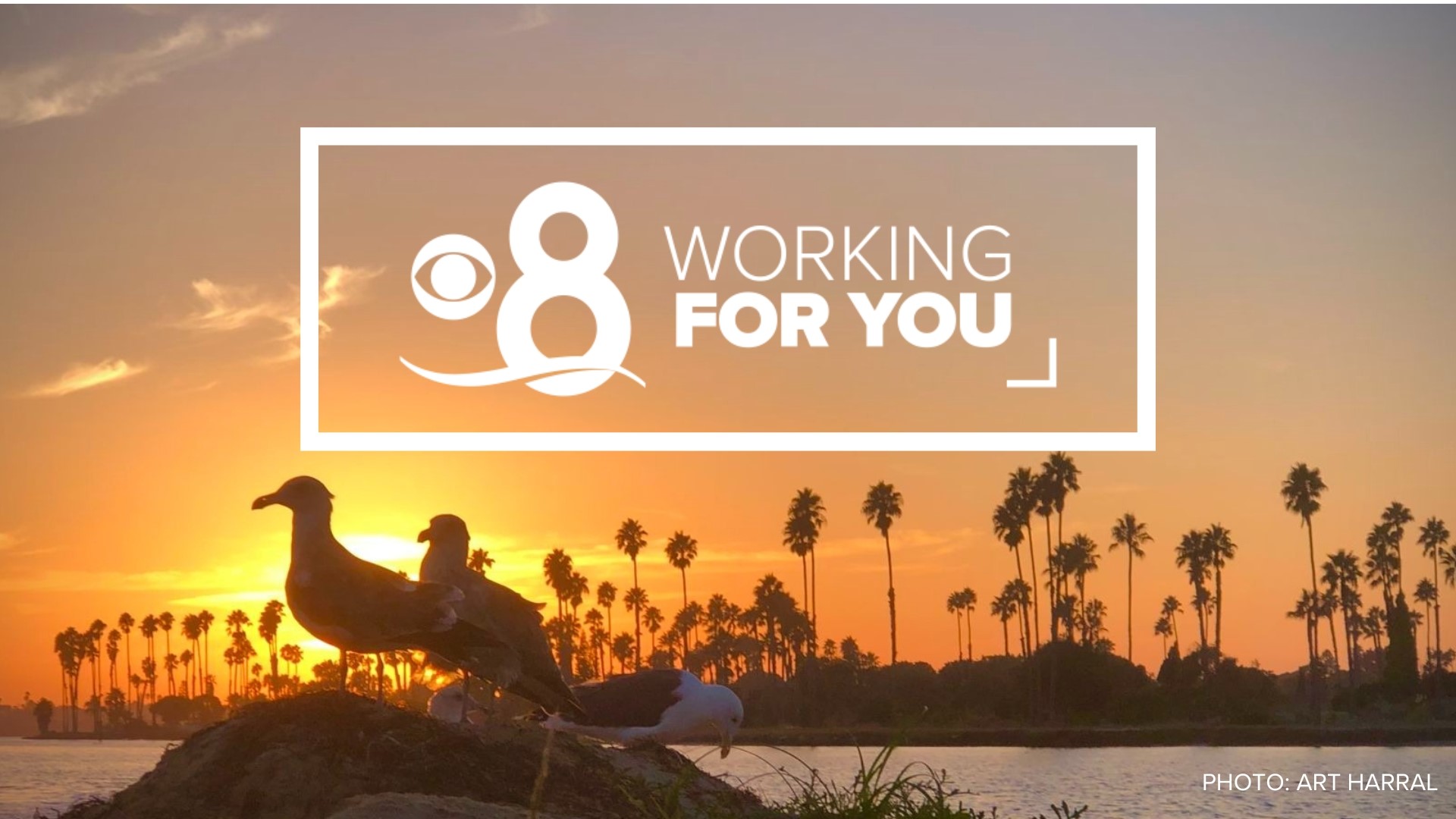 At CBS 8, we are always Working for You and our community. This is a station promise that we will go the extra mile to try and solve a problem our audience can’t.